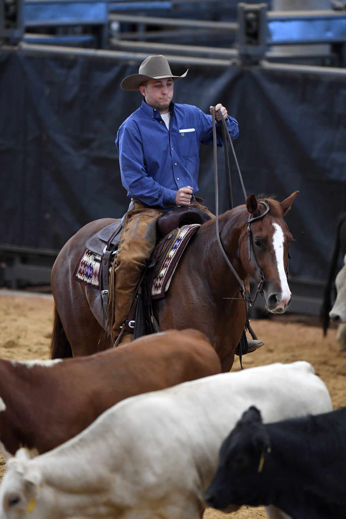 Michelle Lynn Holsey Foundation NCHA Cutting & Benefit